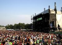 Crowd Shot